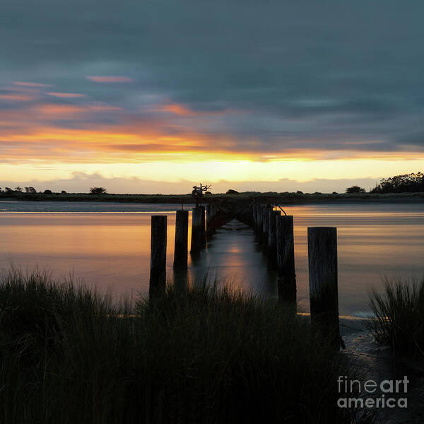 Dock Art Print featuring the photograph Bellwether by Mark Alder