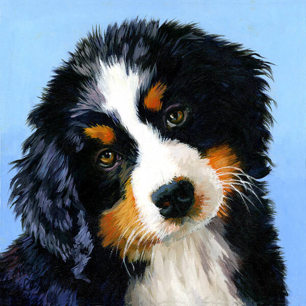 Dog Portrait Art Print featuring the painting Bernese Mountain Puppy by Alice Leggett