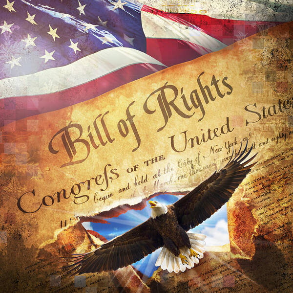 Bill Of Rights Art Print featuring the digital art Bill of RIghts by Evie Cook