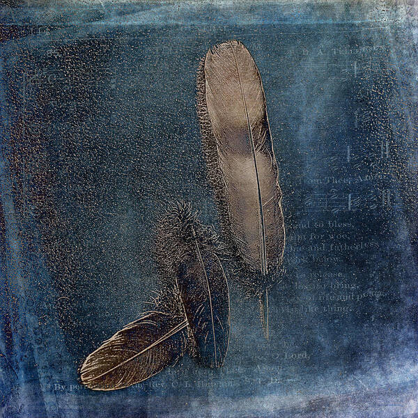 Texture Art Print featuring the photograph Birds of a Feather by Randi Grace Nilsberg