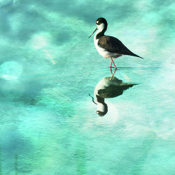 Debra Martz Art Print featuring the photograph Black-necked Stilt with Textured Water by Debra Martz