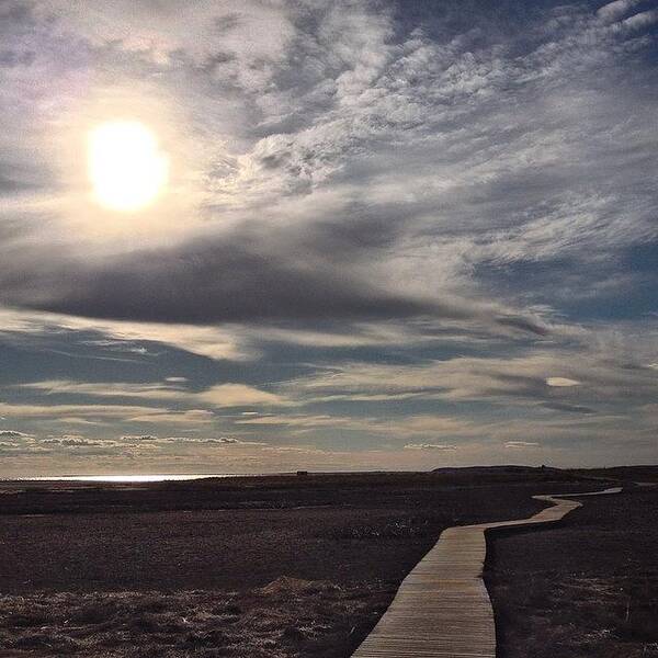 Capecodinstagram Art Print featuring the photograph Boardwalk To The Bay by Amy Coomber Eberhardt