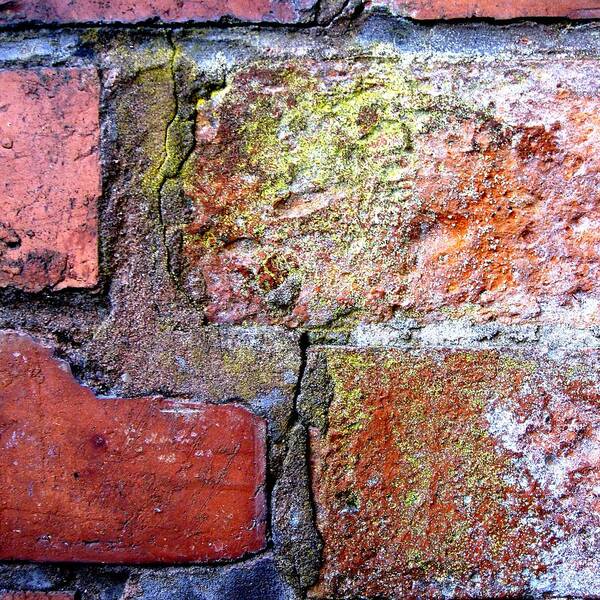 Bricks Art Print featuring the photograph Brick Wall by Roberto Alamino