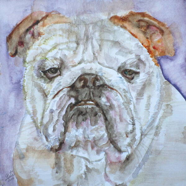 Bulldog Art Print featuring the painting BULLDOG - watercolor portrait.5 by Fabrizio Cassetta