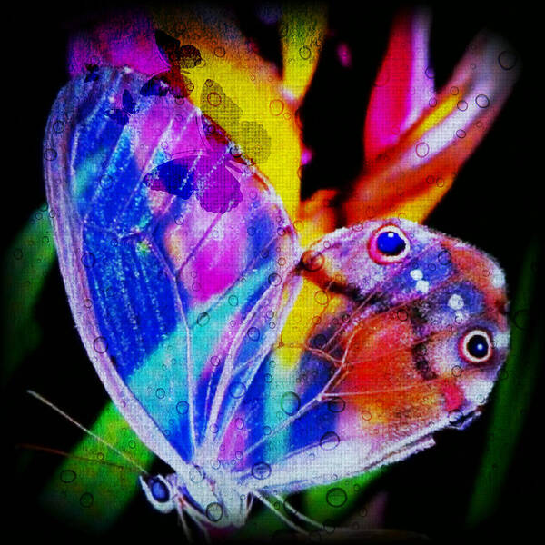 Butterflies Art Print featuring the digital art Butterflies Are Free by Digital Art Cafe