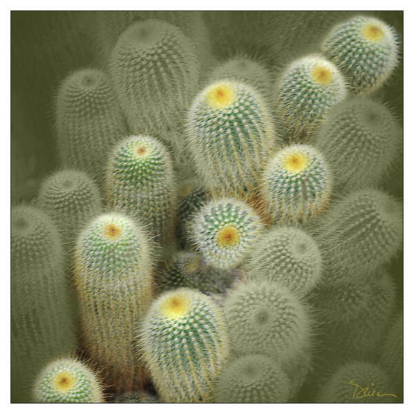 Cactus Art Print featuring the photograph Cactus Parade by Peggy Dietz
