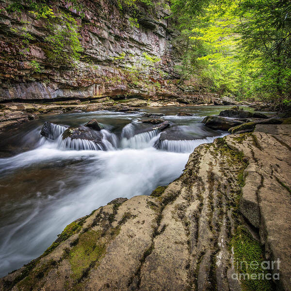 Piney Creek Art Print featuring the photograph Canyon Cascades by Anthony Heflin