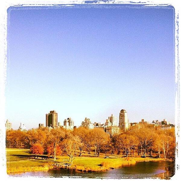  Art Print featuring the photograph Central Park On A Very Cold November Day by Mae Coy