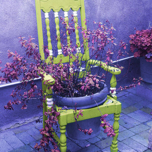 Chair Art Print featuring the photograph 			Chair in Chartreuse		 by Ann Johndro-Collins