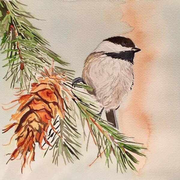 Chickadee Art Print featuring the painting Chickadee in the Pine by Sonja Jones