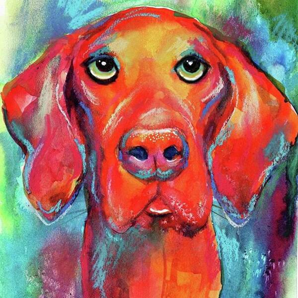 Dog Art Print featuring the photograph Colorful Vista Dog Watercolor And Mixed by Svetlana Novikova