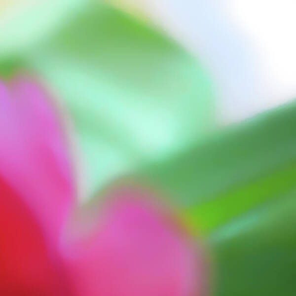 Tulip Art Print featuring the photograph Colors of Spring Abstract No 2 by Menega Sabidussi