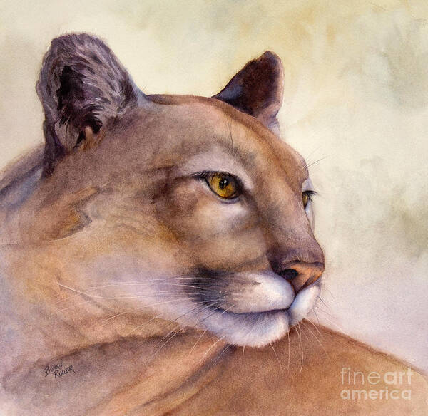 Cougar Art Print featuring the painting Contemplation by Bonnie Rinier