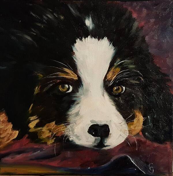 Puppy Art Print featuring the painting Cookie Bernese Mountain Dog  10 by Cheryl Nancy Ann Gordon