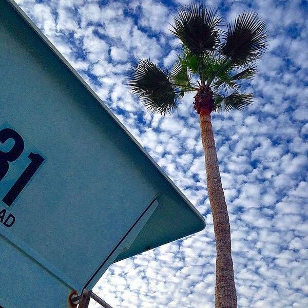 Clouds Art Print featuring the photograph Cool Sky. by J Lopez