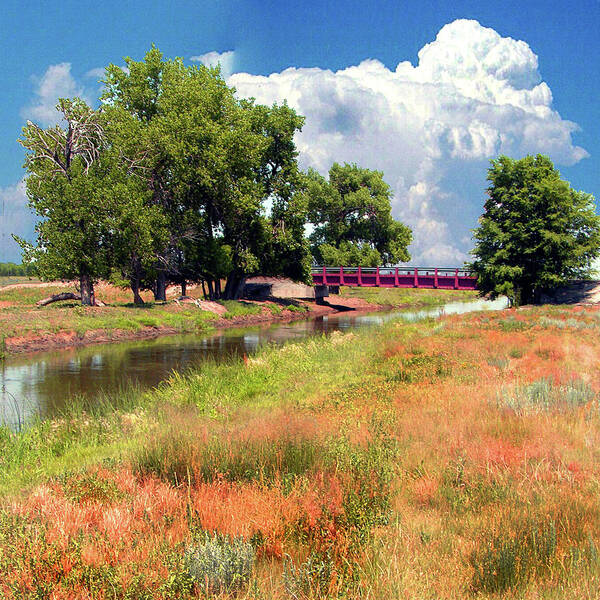 Clouds Art Print featuring the photograph Creek In Brush Colorado by John Lautermilch