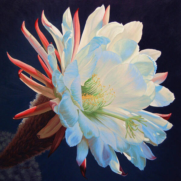 Flower Art Print featuring the painting Daybreak Delight by Cheryl Fecht