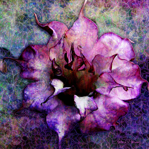 Nature Art Print featuring the digital art Double Purple Datura by Barbara Berney