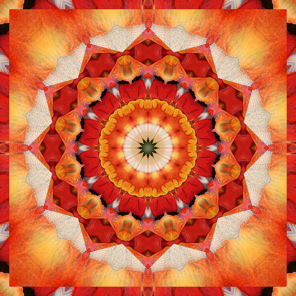 Mandalas Art Print featuring the photograph Dreaming by Bell And Todd