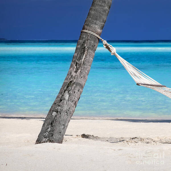 Tropical Art Print featuring the photograph Dreamy Hammock - part 1 of 3 by Sean Davey
