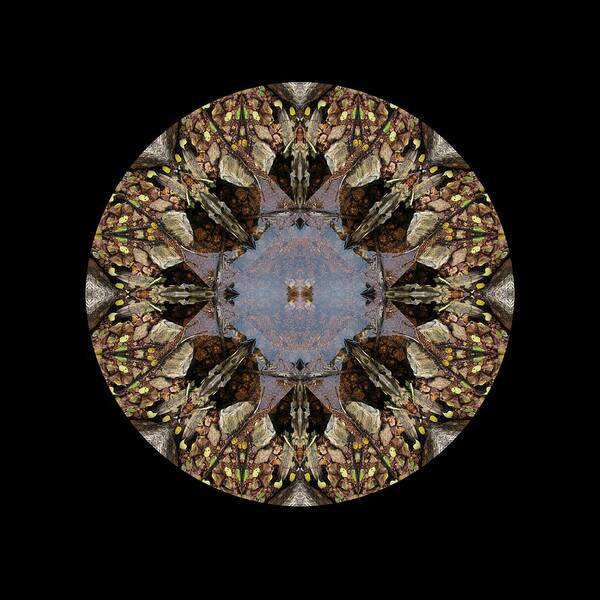 Mandala Art Print featuring the digital art Driftwood Fairies Around a Pond Kaliedoscope by Julia L Wright