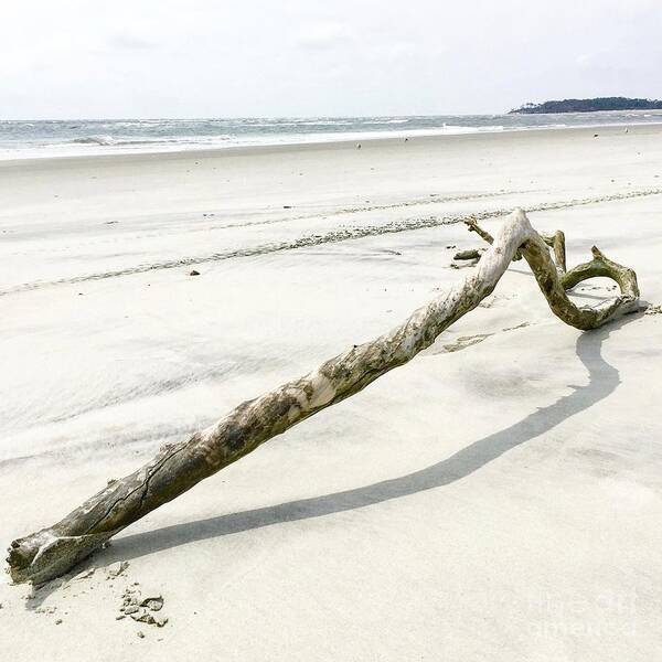 Driftwood Art Print featuring the photograph Driftwood by Flavia Westerwelle