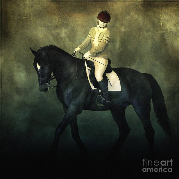 Horse Art Print featuring the photograph Elegant Horse Rider by Dimitar Hristov