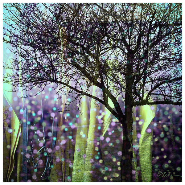 Tree Art Print featuring the photograph Elements by Peggy Dietz