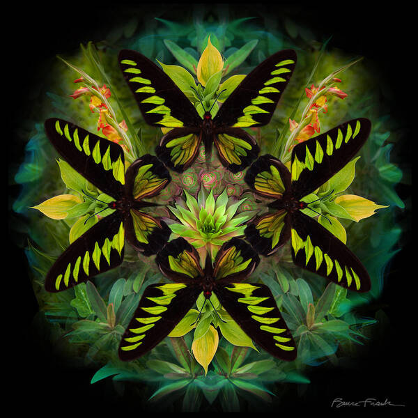 Botanical Art Print featuring the photograph Emergence by Bruce Frank