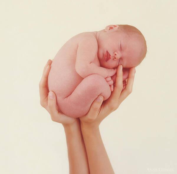 Baby Art Print featuring the photograph Emily Holding Laura by Anne Geddes