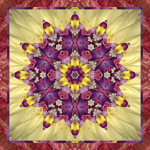 Mandalas Art Print featuring the photograph Everlasting by Bell And Todd