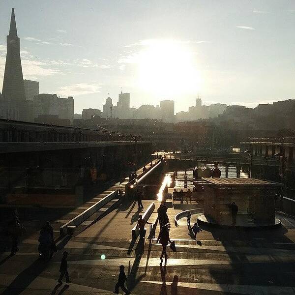 Exploratorium Art Print featuring the photograph Along the Embarcadero by Felicia Zurich Gallagher