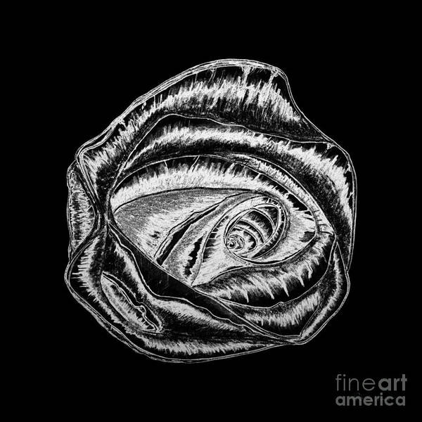 Abstract Art Print featuring the painting Expressive Rose Black and White A0216B by Ricardos Creations
