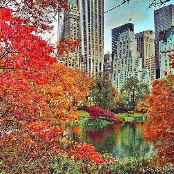 Beautiful Art Print featuring the photograph Fall In The City #centralpark #nyc by Hector Lopez ✨