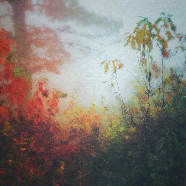  Art Print featuring the photograph Fall Magic by Melissa D Johnston