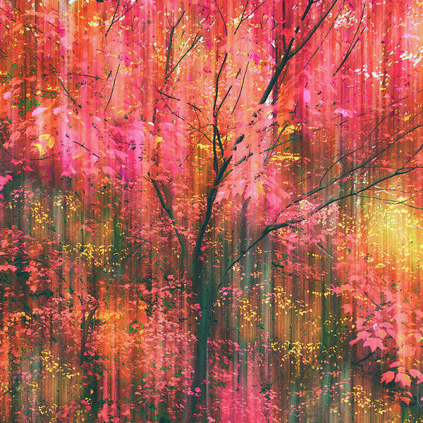 Autumn Art Print featuring the photograph Falling into Autumn by Jessica Jenney