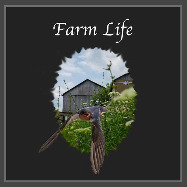 Farm Art Print featuring the photograph Farm Life by Holden The Moment