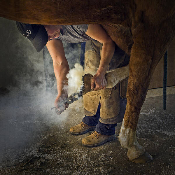 Visit Of Farrier Art Print featuring the photograph Farrier Visit - 365-46 by Inge Riis McDonald