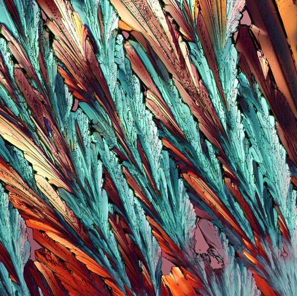 Abstract Art Print featuring the photograph Feathers of Crystal 4 by - MicROCKScopica -
