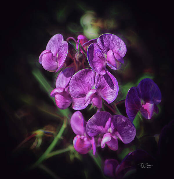 Purple Art Print featuring the photograph Fine Flower Arrangement by Bill Posner