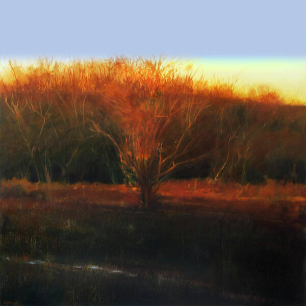  Art Print featuring the painting Fire Tree 2 by Cap Pannell