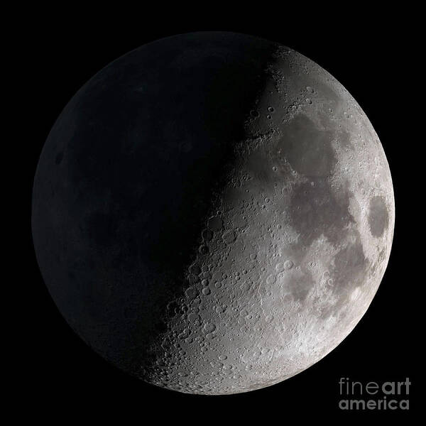 Mare Serenitatis Art Print featuring the photograph First Quarter Moon by Stocktrek Images