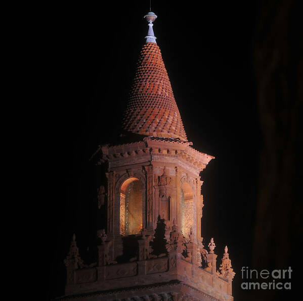 Flagler College Florida Art Print featuring the photograph Flagler College by David Lee Thompson