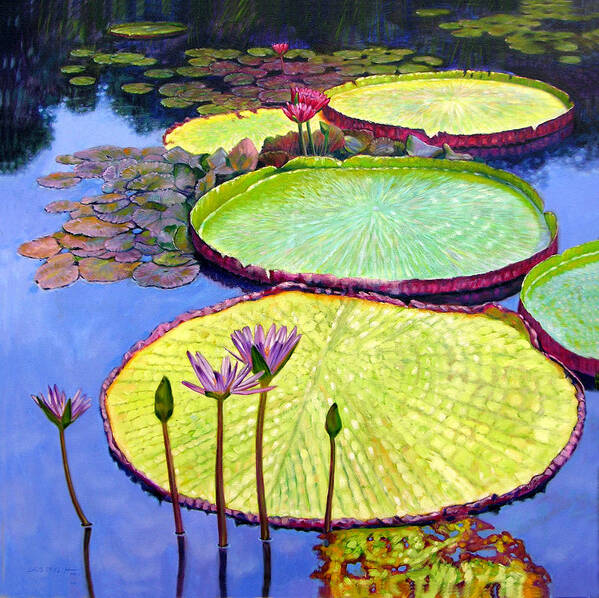 Garden Pond Art Print featuring the painting Floating Galaxies by John Lautermilch