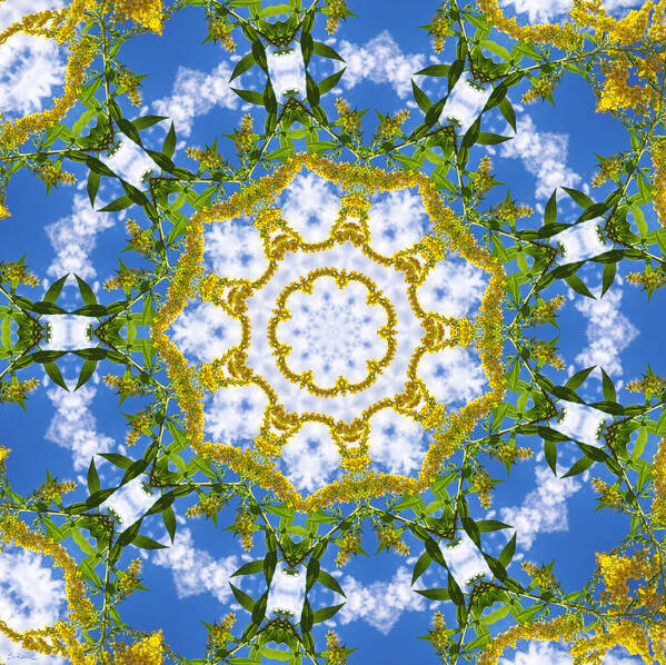 Kaleidoscope Art Print featuring the digital art Floral Sun by Shawna Rowe
