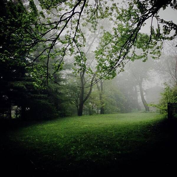 Fog Art Print featuring the photograph Fog On The Green by Frank J Casella