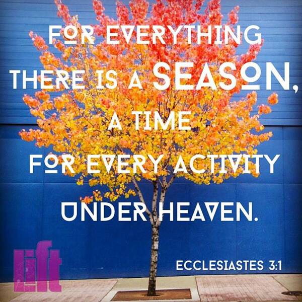 Everythingingodstime Art Print featuring the photograph For Everything There Is A Season,
a by LIFT Women's Ministry designs --by Julie Hurttgam