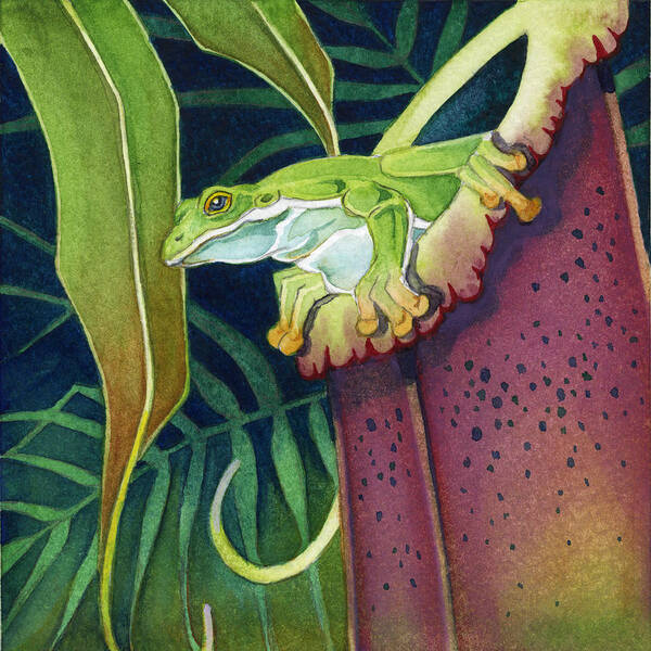  Art Print featuring the painting Frog in Tropical Pitcher by Lyse Anthony