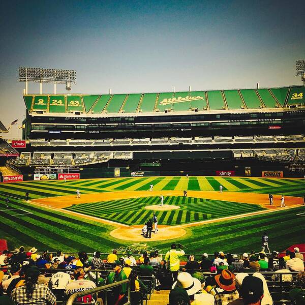 Oakland Athletics Art Print featuring the photograph Game Day In Oakland by Mountain Dreams