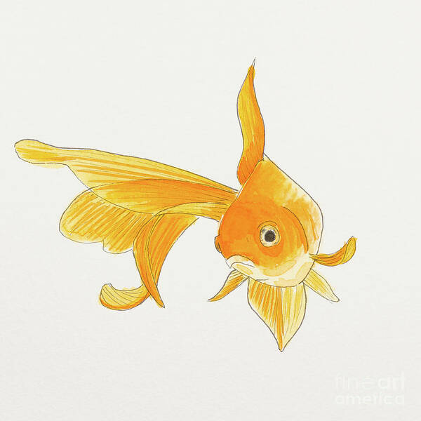 Fish Art Print featuring the painting Goldfish 2 by Stefanie Forck
